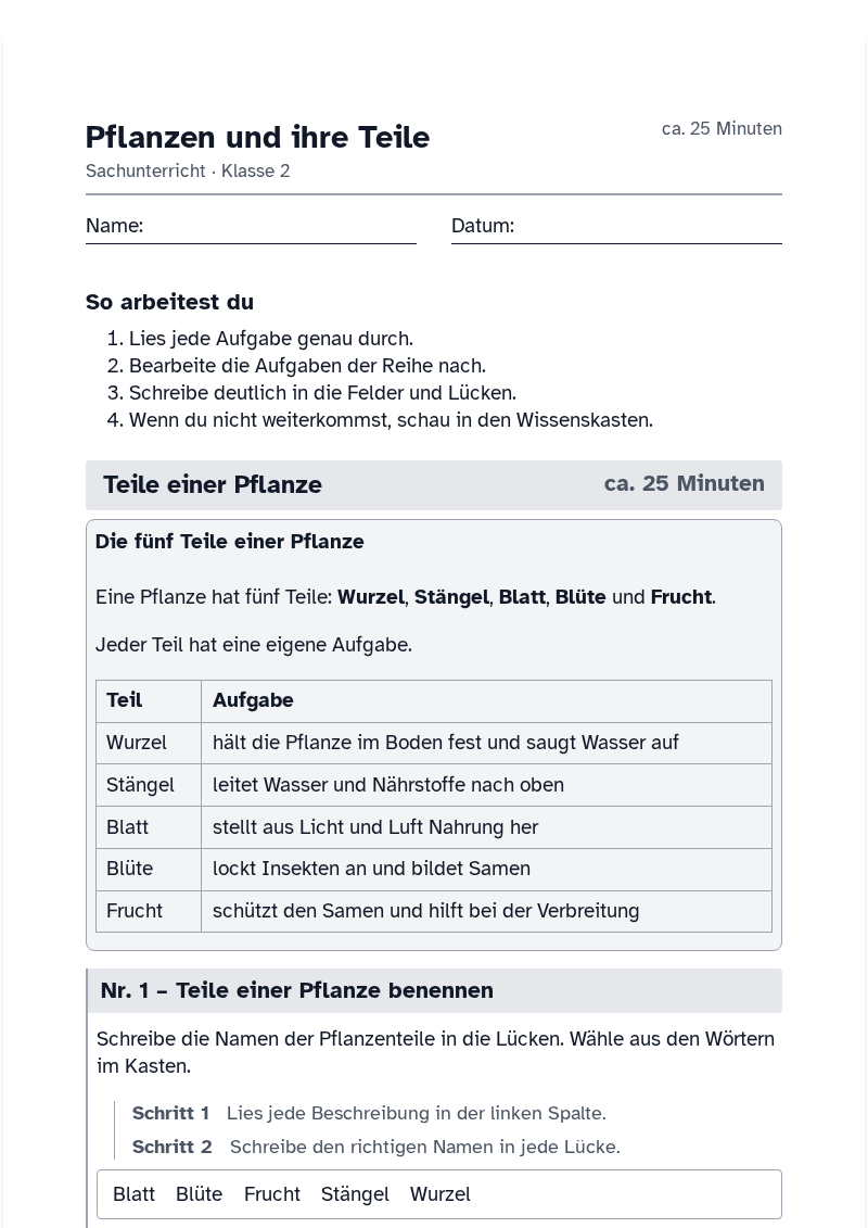 Vorschau des Arbeitsblatts „Pflanzen und ihre Teile“