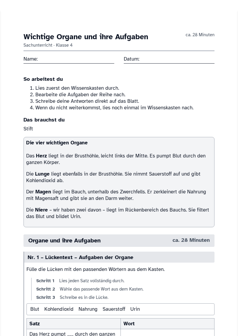 Vorschau des Arbeitsblatts „Wichtige Organe und ihre Aufgaben“